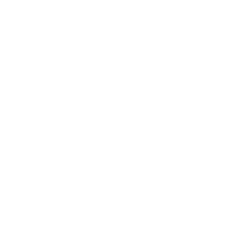 audits-and-reports-icon